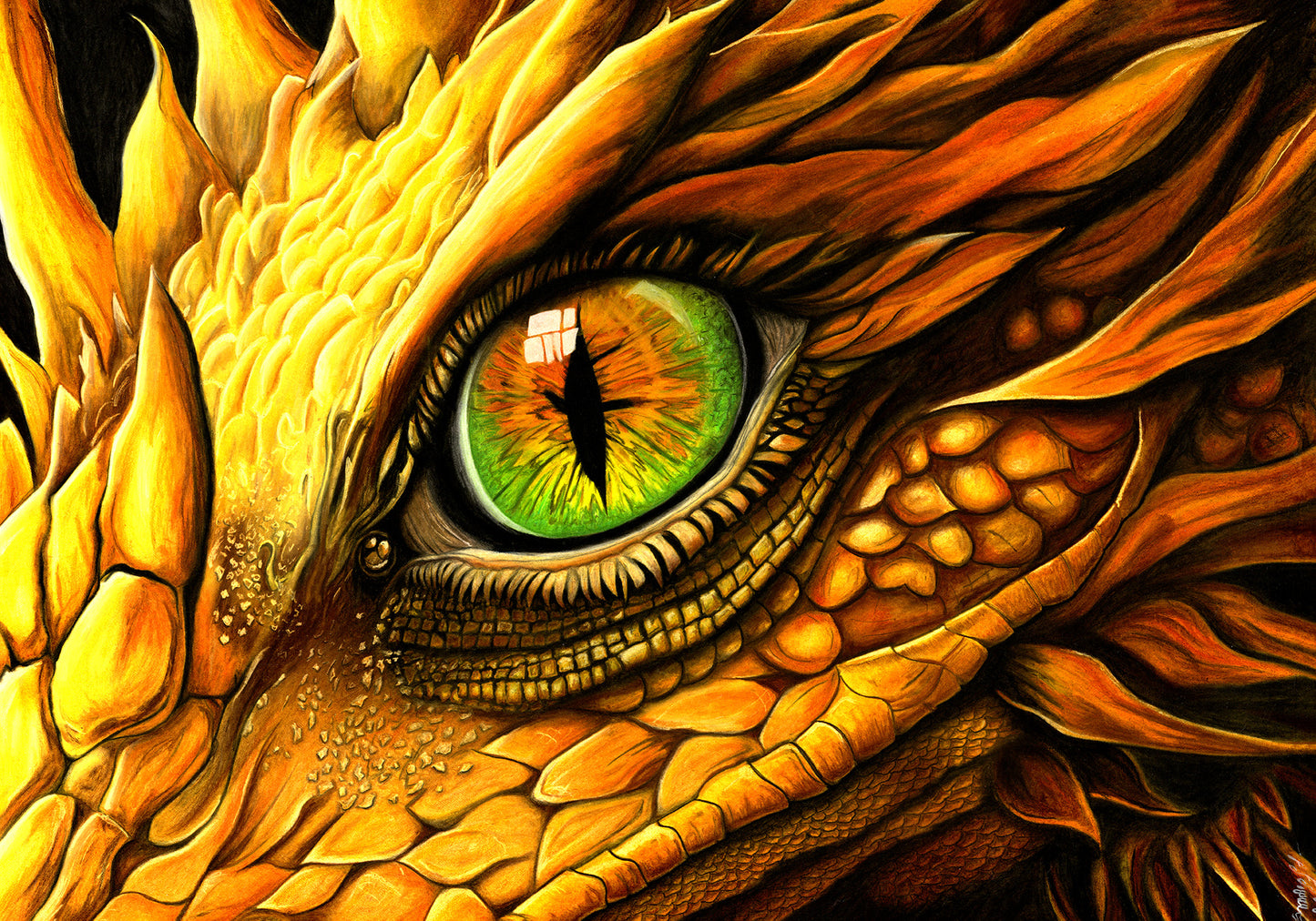 Dans l'œil de la Wyverne