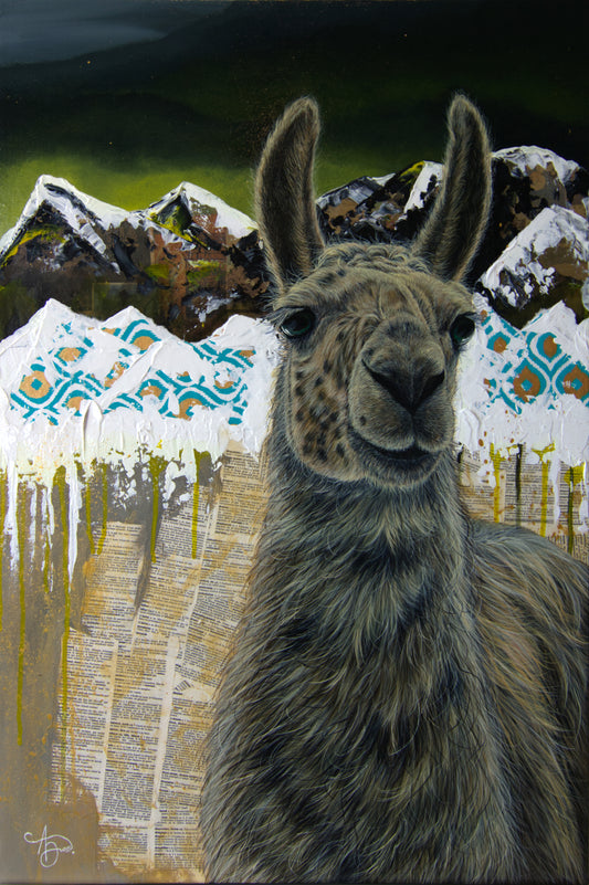 Le Curieux des Montagnes