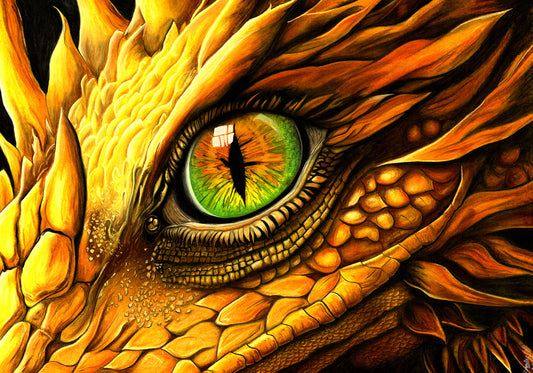 Dans l'œil de la Wyverne